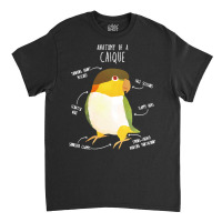 Caique T  Shirt Anatomy Of A Black  Headed Caique T  Shirt Classic T-shirt | Artistshot