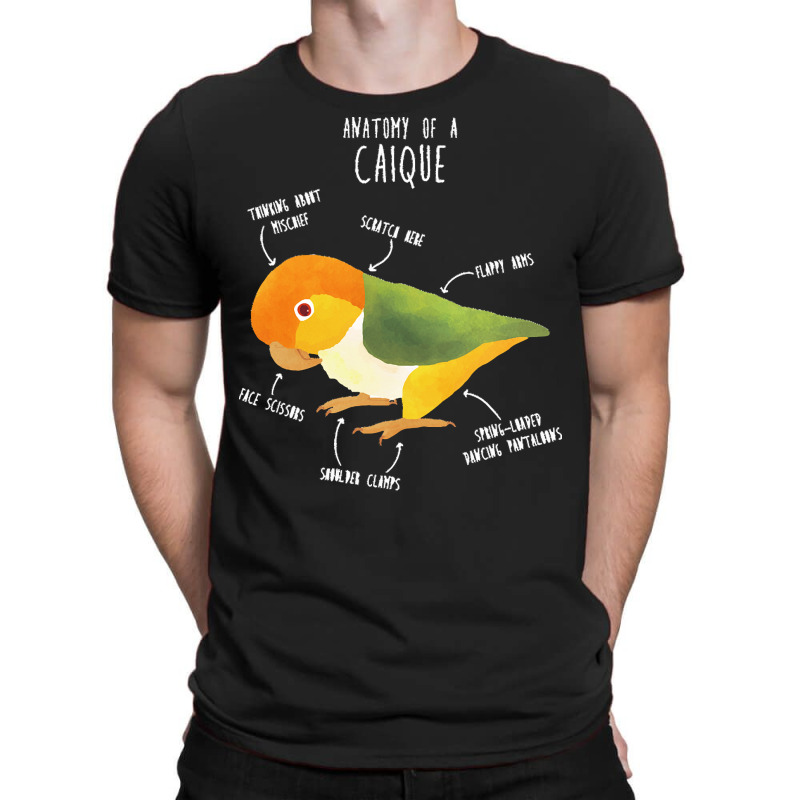 Caique T  Shirt Anatomy Of A White  Bellied Caique T  Shirt T-shirt | Artistshot