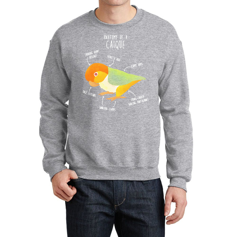 Caique T  Shirt Anatomy Of A White  Bellied Caique T  Shirt Crewneck Sweatshirt | Artistshot