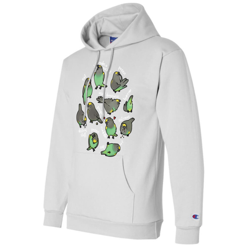 Meyer's Parrot Daily To Do List Pullover Hoodie Champion Hoodie | Artistshot