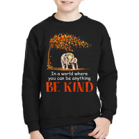 Be Kind Plus Size Graphic Youth Sweatshirt | Artistshot