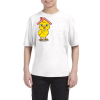 Real Estate Chick For Real Estate Agent Youth Tee | Artistshot
