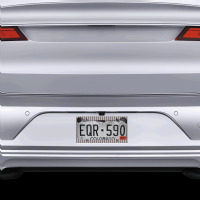 Byedon 2020 License Plate Frame | Artistshot