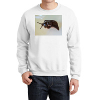 Snail Art Crewneck Sweatshirt | Artistshot