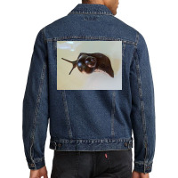 Snail Art Men Denim Jacket | Artistshot