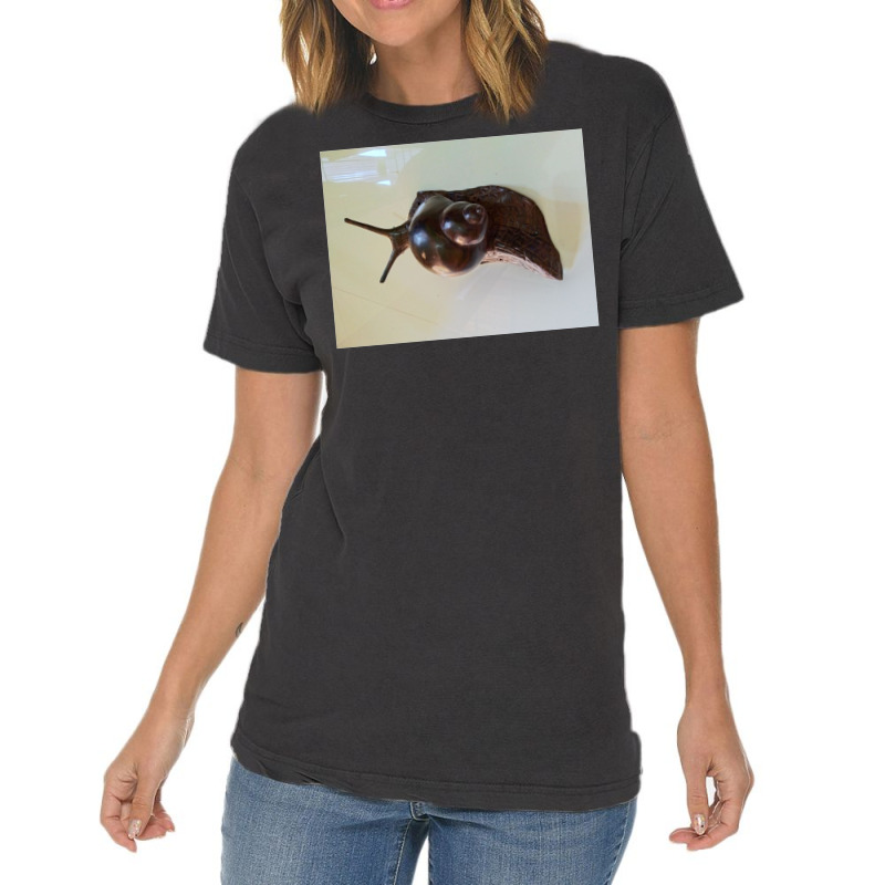 Snail Art Vintage T-Shirt by argo | Artistshot