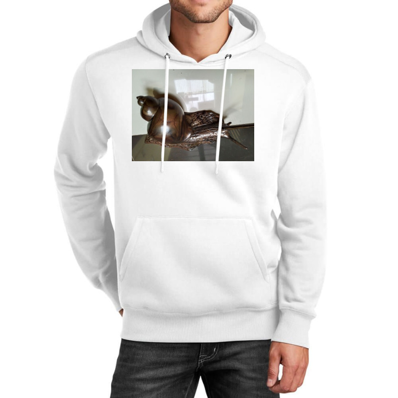 Snail Art Unisex Hoodie by argo | Artistshot