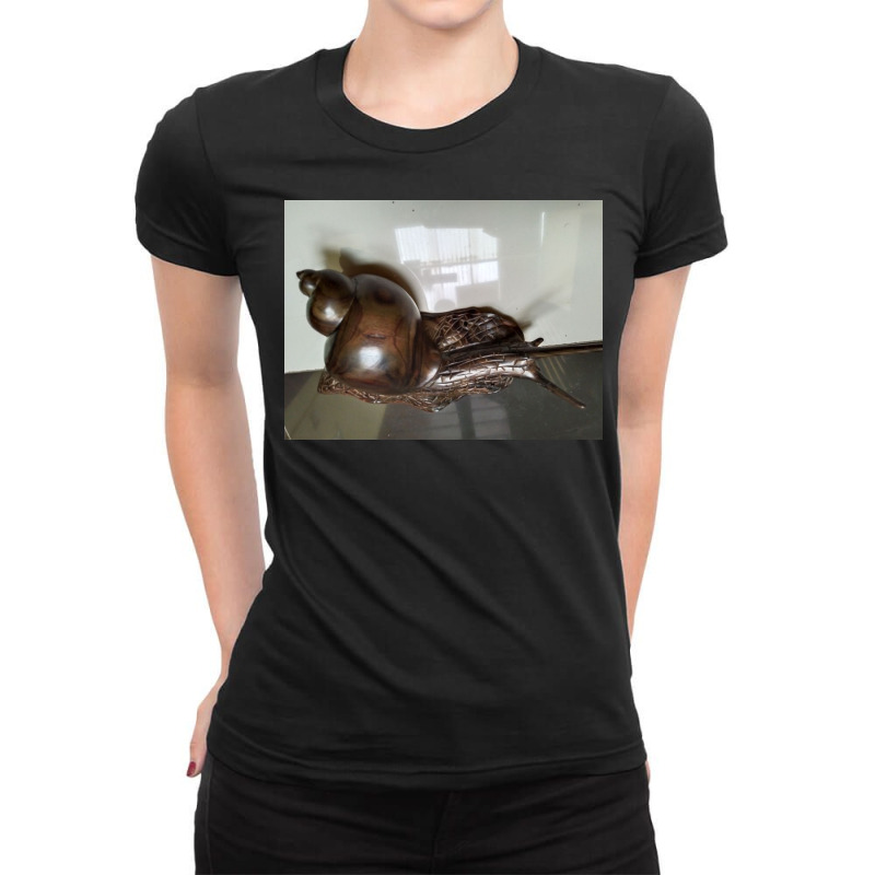 Snail Art Ladies Fitted T-Shirt by argo | Artistshot