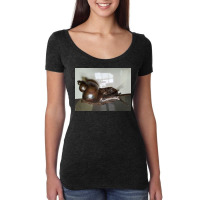 Snail Art Women's Triblend Scoop T-shirt | Artistshot