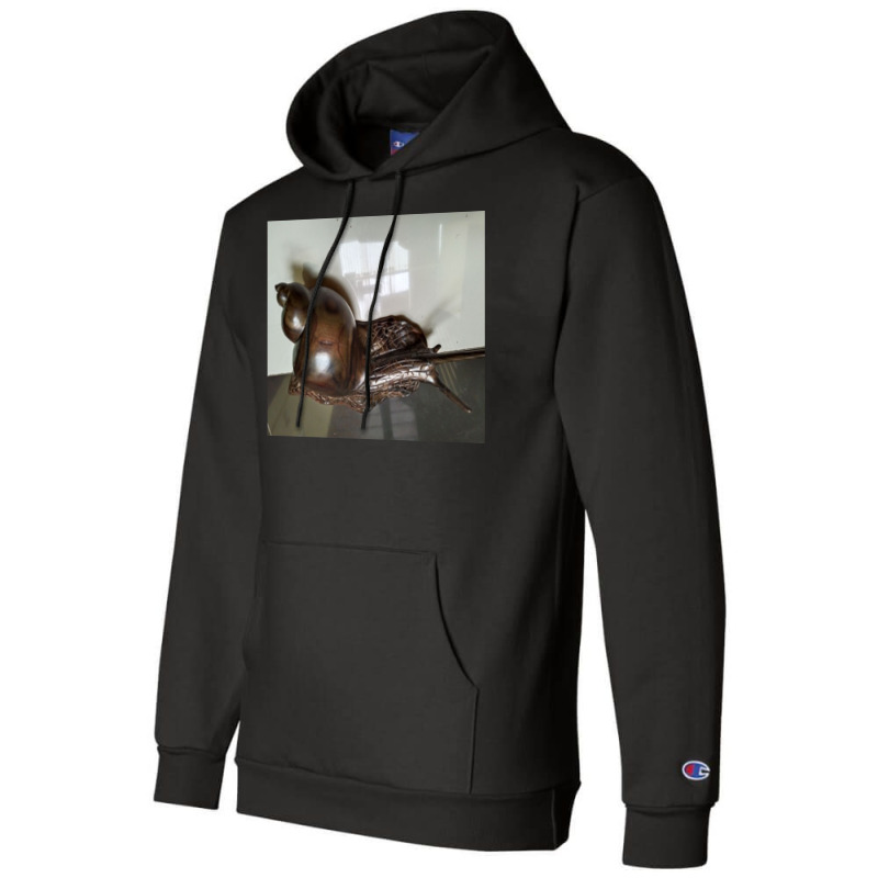 Snail Art Champion Hoodie by argo | Artistshot