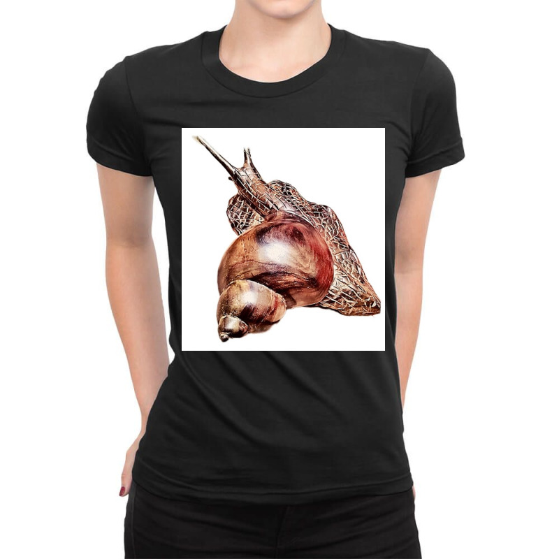 Snail Ladies Fitted T-Shirt by argo | Artistshot