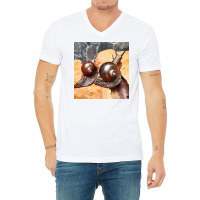 Snail Art V-neck Tee | Artistshot