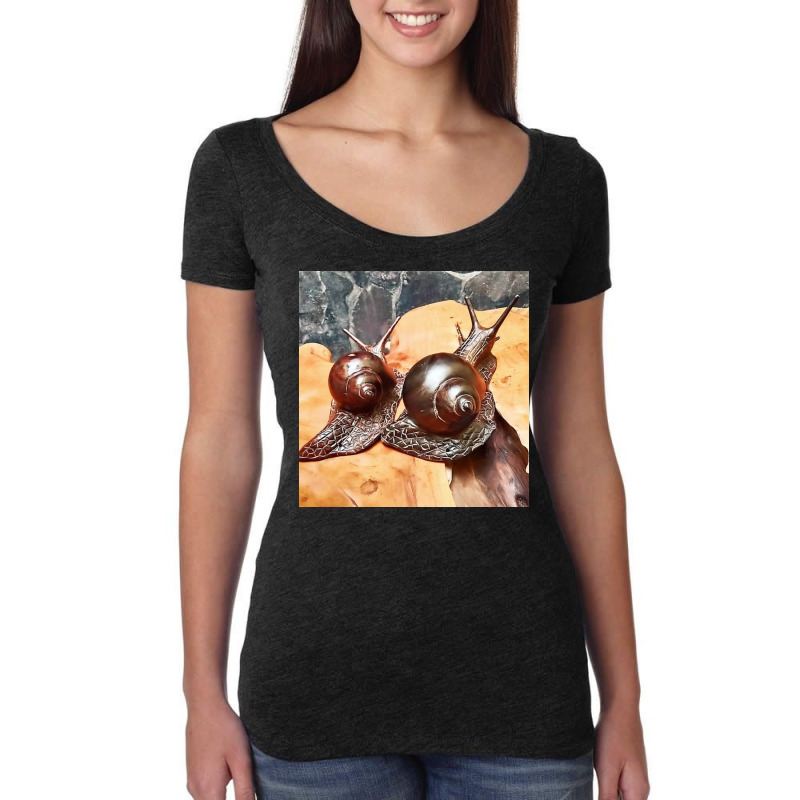 Snail Art Women's Triblend Scoop T-shirt by argo | Artistshot