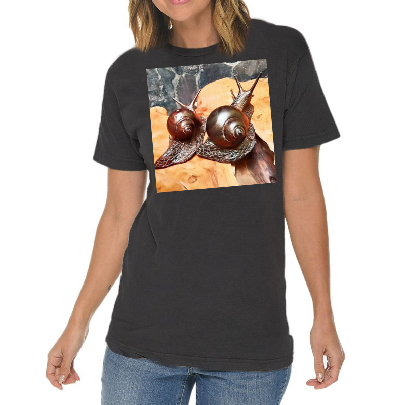 Snail Art Vintage T-Shirt by argo | Artistshot