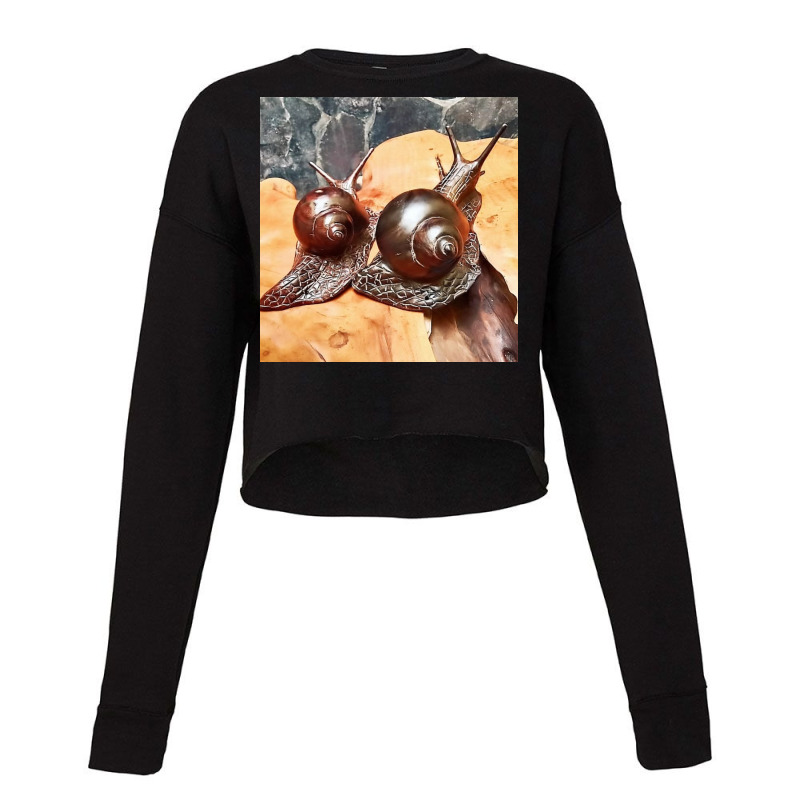 Snail Art Cropped Sweater by argo | Artistshot