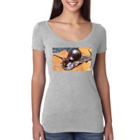 Snail Art Women's Triblend Scoop T-shirt | Artistshot