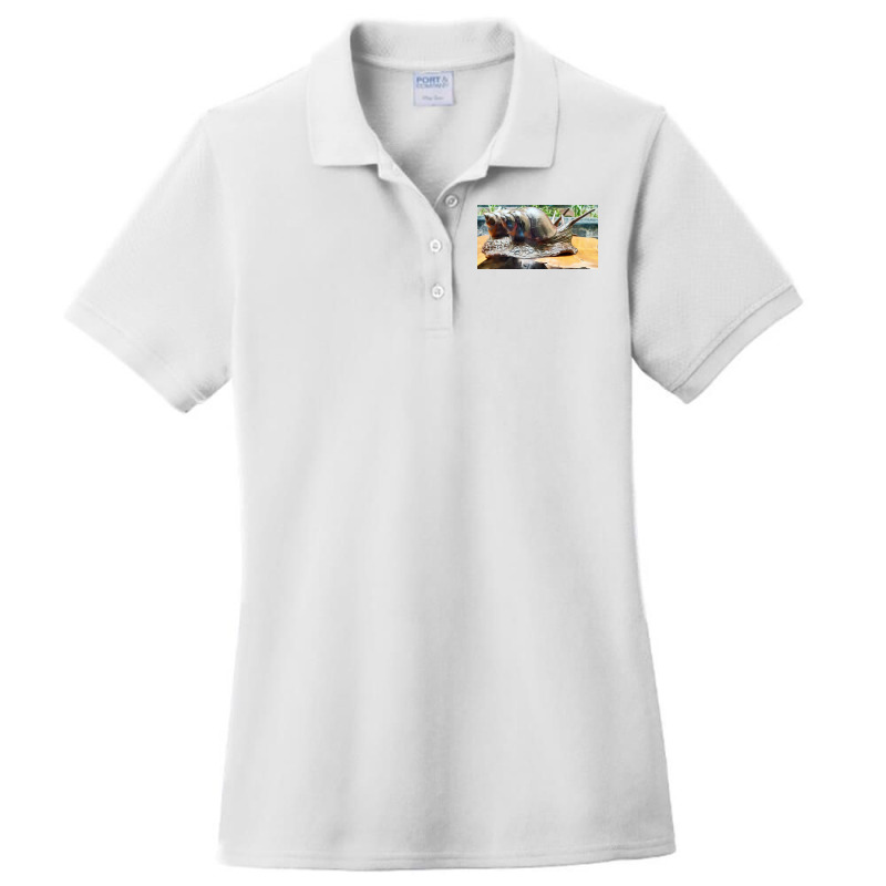 Snail Ladies Polo Shirt by argo | Artistshot