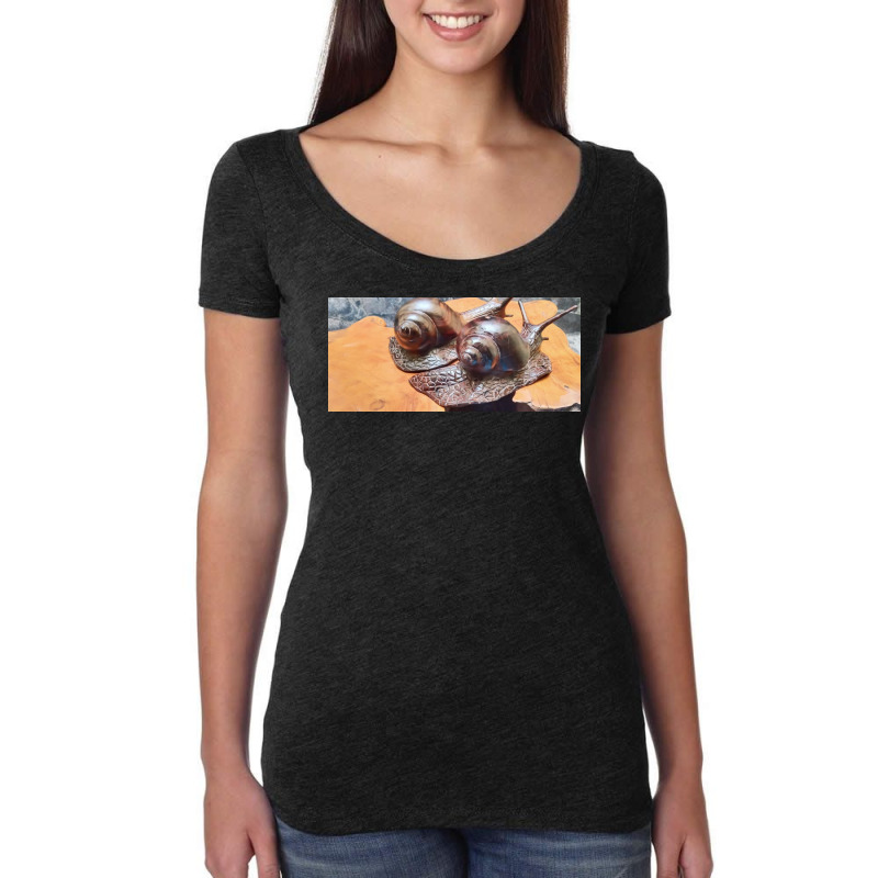 Snail Women's Triblend Scoop T-shirt by argo | Artistshot