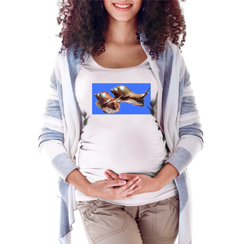 Snail Maternity Scoop Neck T-shirt by argo | Artistshot