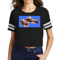 Snail Scorecard Crop Tee | Artistshot