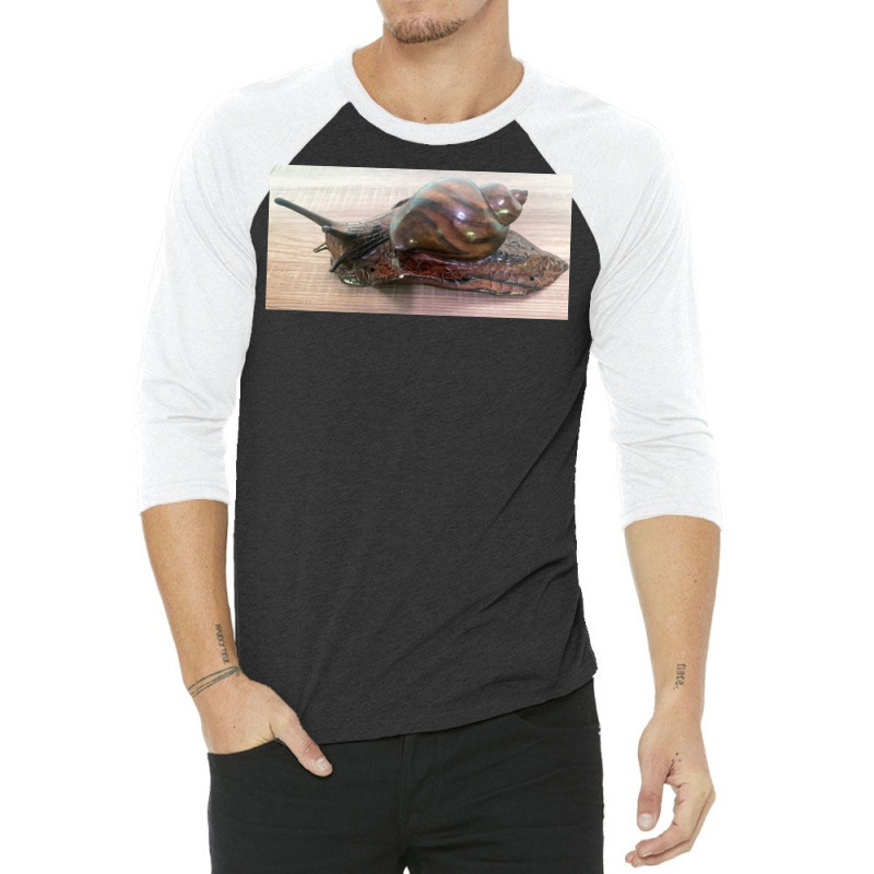 Snail Art 3/4 Sleeve Shirt by argo | Artistshot