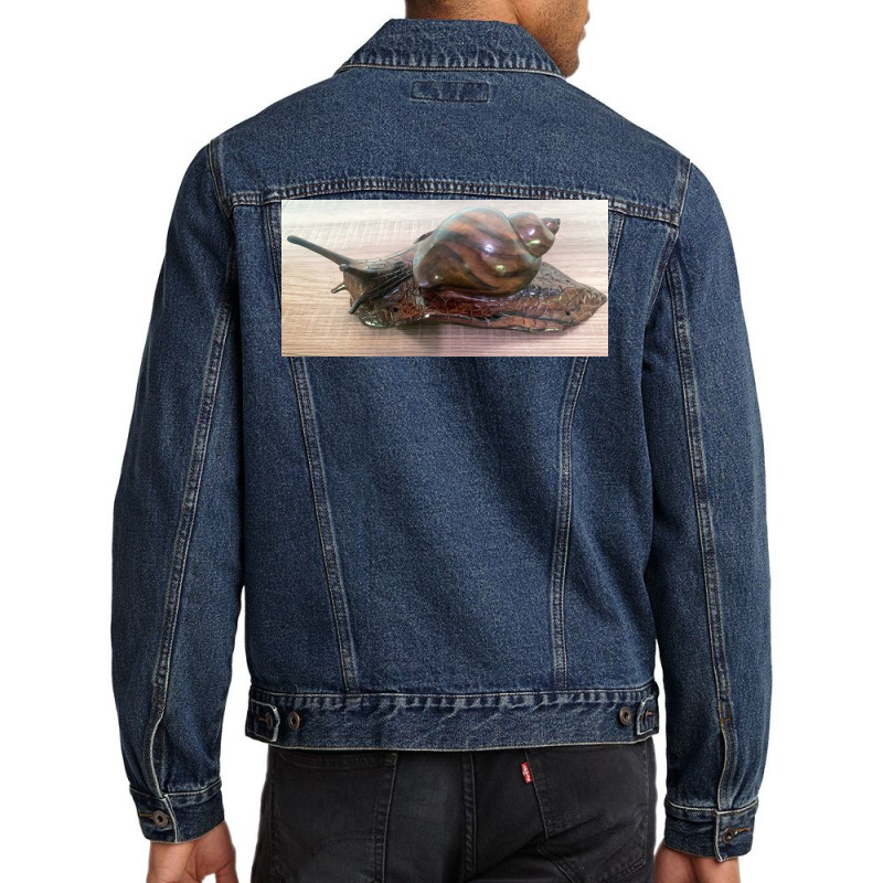 Snail Art Men Denim Jacket by argo | Artistshot