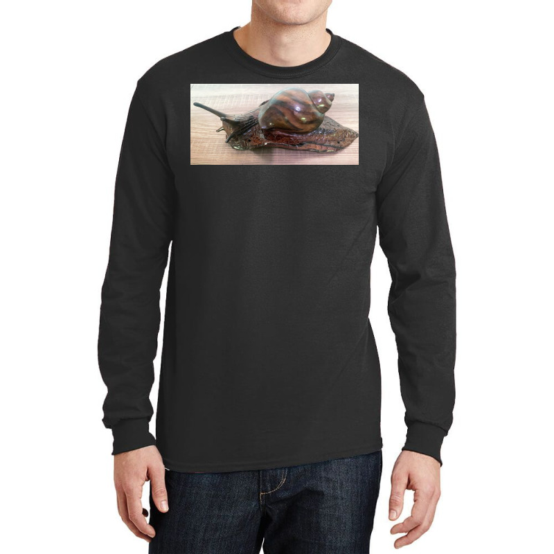 Snail Art Long Sleeve Shirts by argo | Artistshot