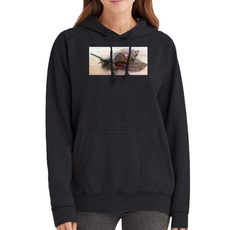 Snail Art Vintage Hoodie by argo | Artistshot