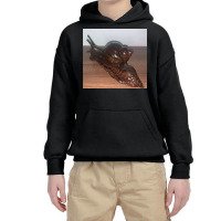 Snail Art Cute Nature Snails T Shirt Youth Hoodie | Artistshot