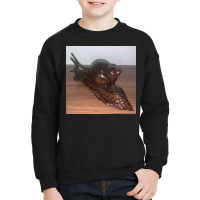 Snail Art Cute Nature Snails T Shirt Youth Sweatshirt | Artistshot