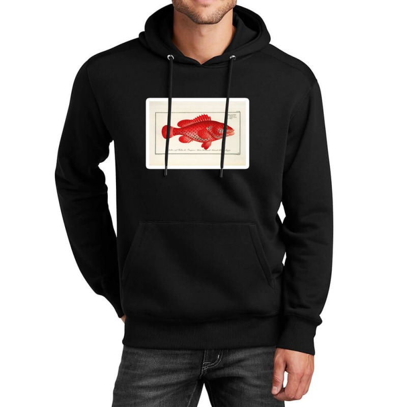 Antique Crustacean Print Homarus Americanus The American Lobster 57476 Unisex Hoodie | Artistshot