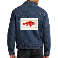 Antique Crustacean Print Homarus Americanus The American Lobster 57476 Men Denim Jacket | Artistshot