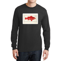 Antique Crustacean Print Homarus Americanus The American Lobster 57476 Long Sleeve Shirts | Artistshot