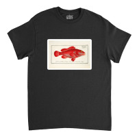 Antique Crustacean Print Homarus Americanus The American Lobster 57476 Classic T-shirt | Artistshot