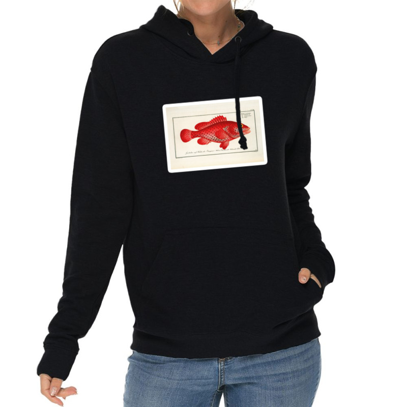 Antique Crustacean Print Homarus Americanus The American Lobster 57476 Lightweight Hoodie | Artistshot