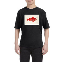 Antique Crustacean Print Homarus Americanus The American Lobster 57476 Youth Tee | Artistshot