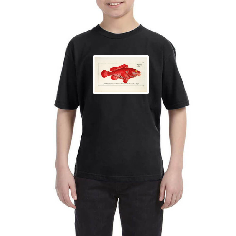 Antique Crustacean Print Homarus Americanus The American Lobster 57476 Youth Tee | Artistshot