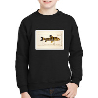 Antique Crustacean Print Squilla Empusa The Mantis Shrimp 57479365 Youth Sweatshirt | Artistshot