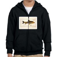 Antique Crustacean Print Squilla Empusa The Mantis Shrimp 57479365 Youth Zipper Hoodie | Artistshot