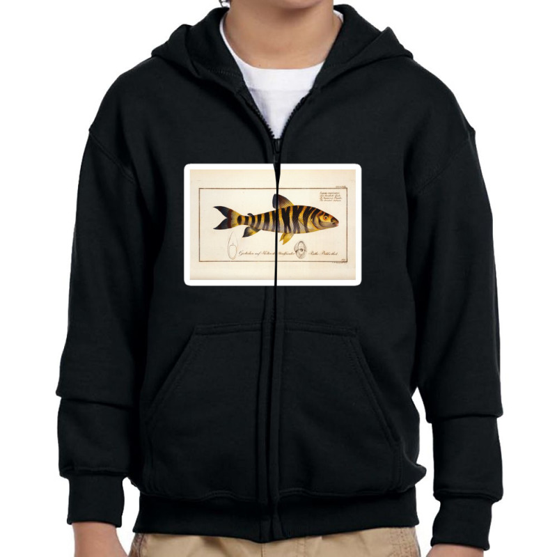 Antique Crustacean Print Squilla Empusa The Mantis Shrimp 57479365 Youth Zipper Hoodie | Artistshot