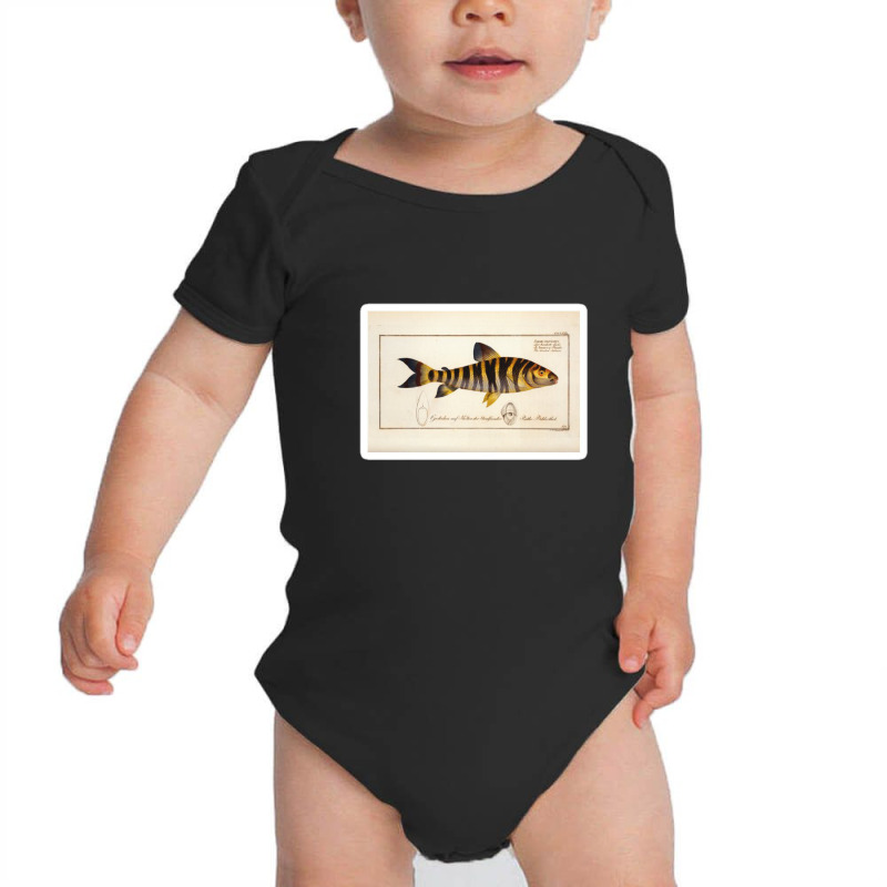 Antique Crustacean Print Squilla Empusa The Mantis Shrimp 57479365 Baby Bodysuit | Artistshot