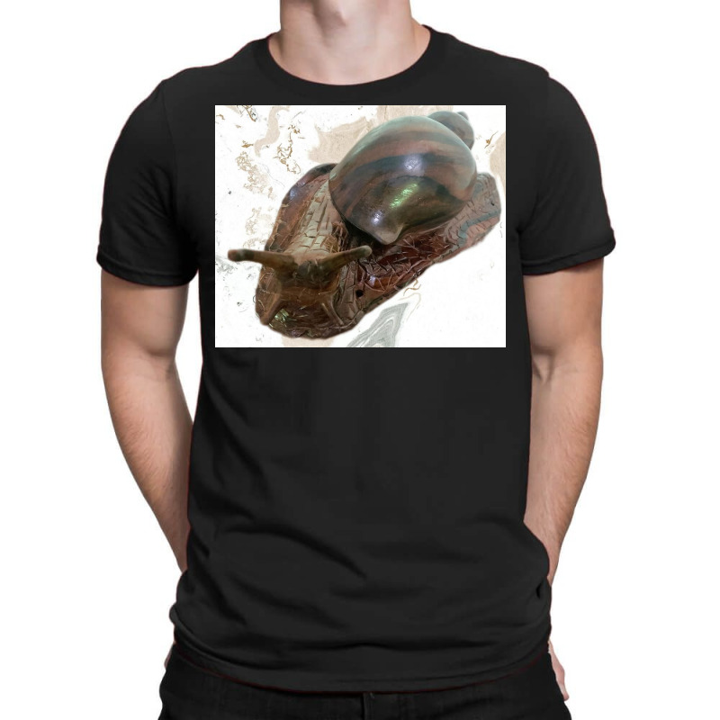 Snail T-Shirt by argo | Artistshot