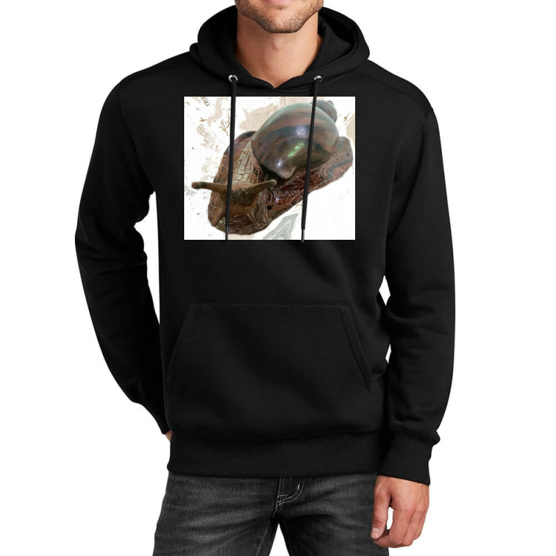 Snail Unisex Hoodie by argo | Artistshot