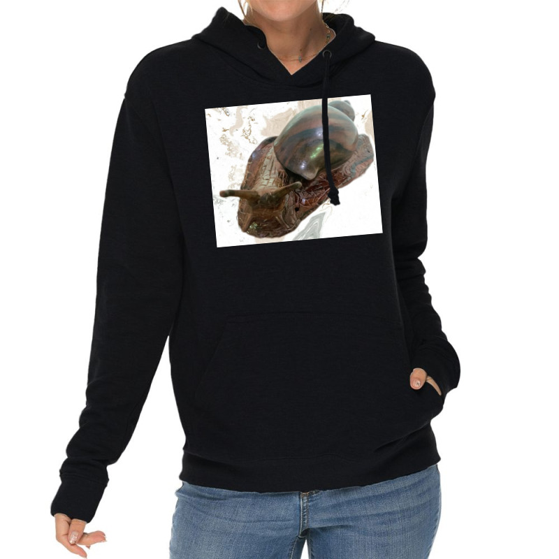 Snail Lightweight Hoodie by argo | Artistshot