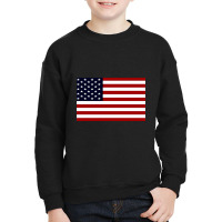 Av American Vacation Youth Sweatshirt | Artistshot