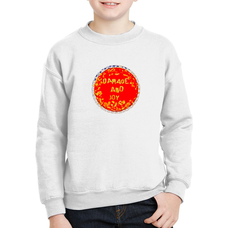 The Jesus And Mary Chain Damage And Joy Youth Sweatshirt by Markuslaws | Artistshot