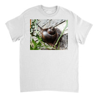 Snail Never Underestimate A Boy With A Snail T Shirt Classic T-shirt | Artistshot