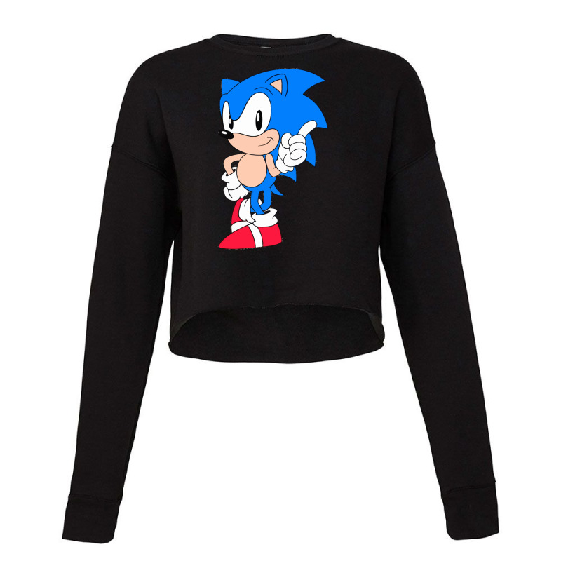 Sadow The Hedgehog Cropped Sweater by dikamardian | Artistshot