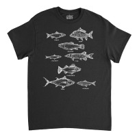 Fish Species Collection Biologist Fishkeeping Animal Fish T Shirt Classic T-shirt | Artistshot