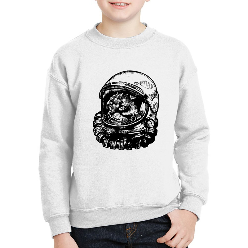 Apace Invader Youth Sweatshirt | Artistshot